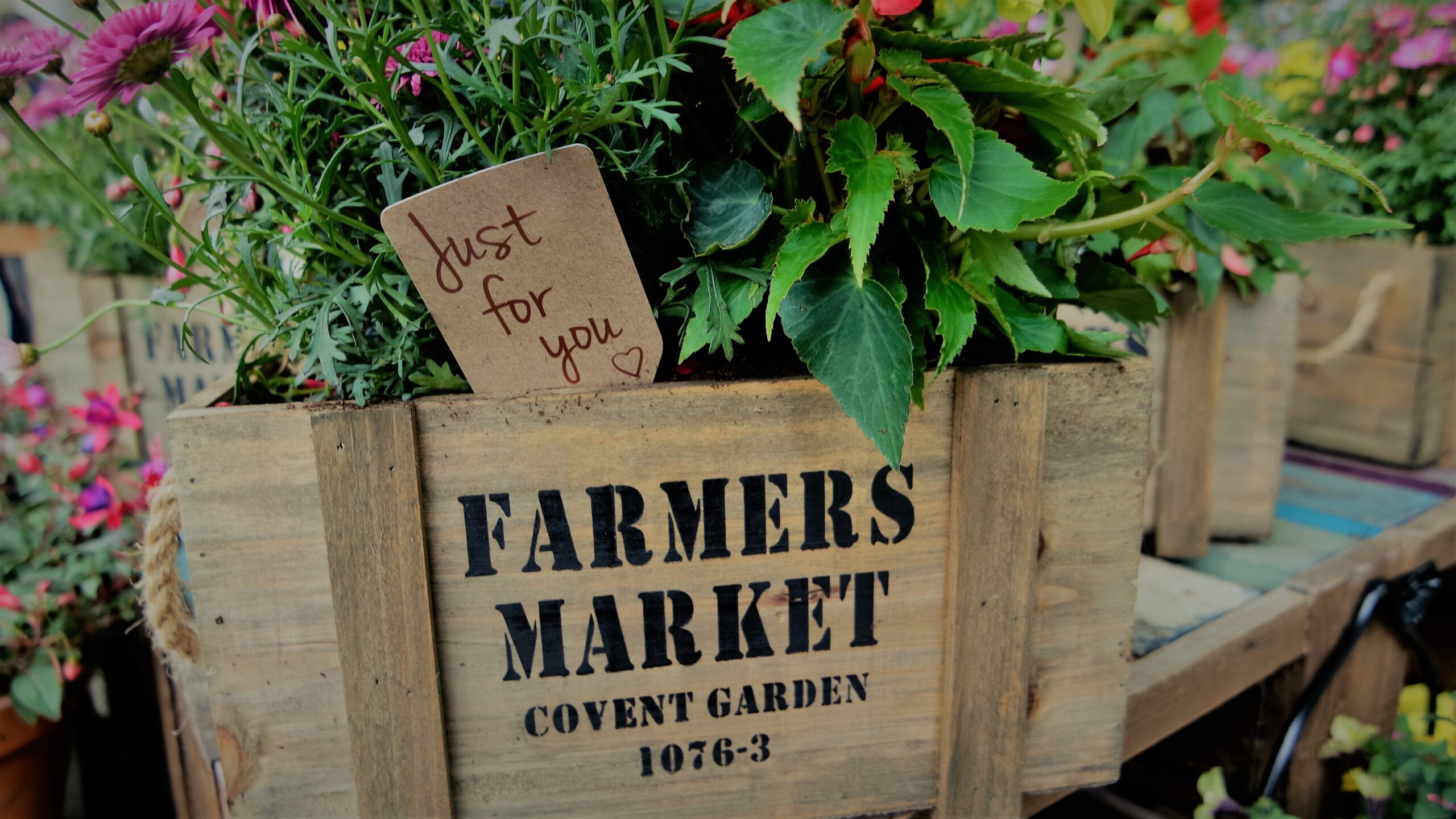 how to start a Patreon for your farmers market